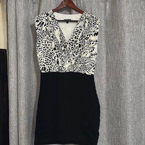 Express Leopard Dress